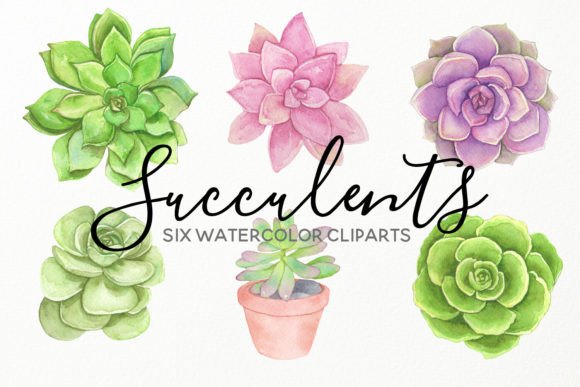 Download Water Succulents Hand Painted Cliparts - Succulent Collection