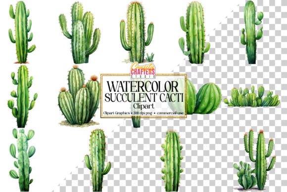 Download Succulent Cacti Watercolor Clipart - Succulent Collection